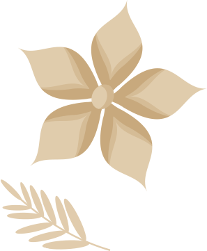about us design element.png